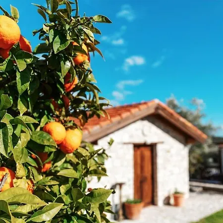 A Cozy Near The Ligthouse Beach! Nearby! Paphos